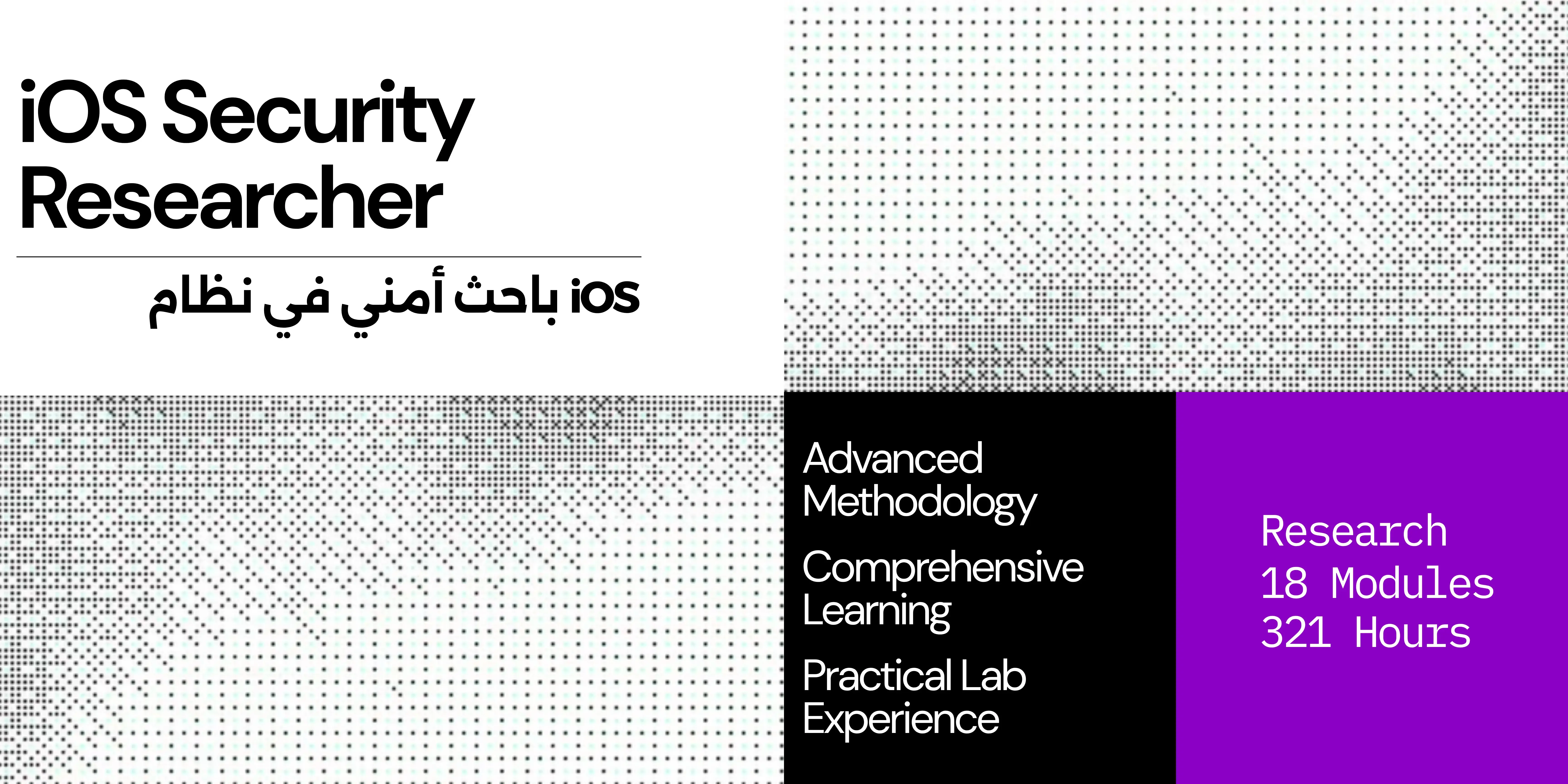 iOS Security Researcher
