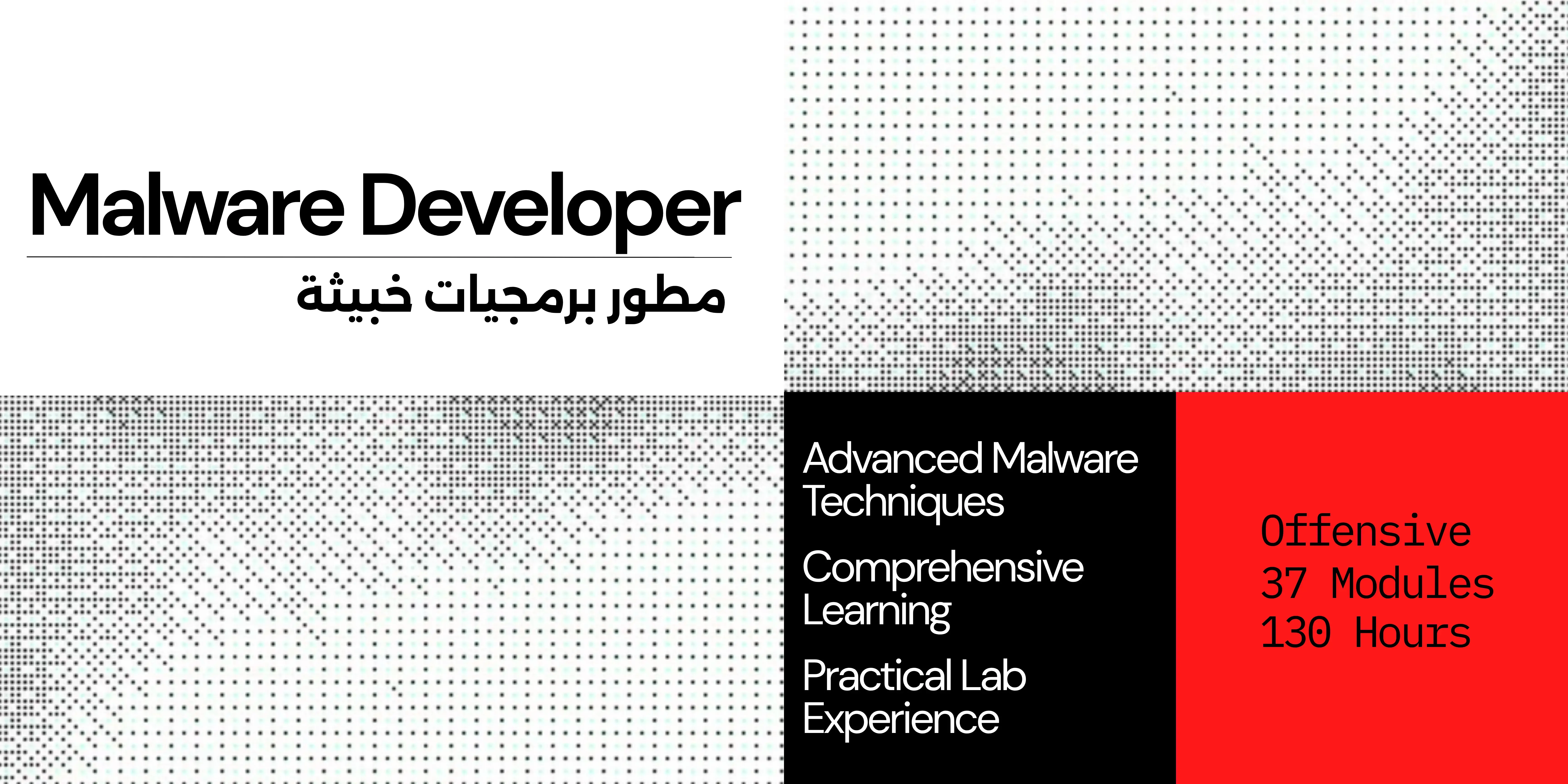 Malware Developer Path